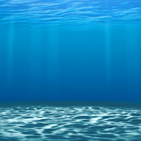 Ocean Alkalinity Enhancement